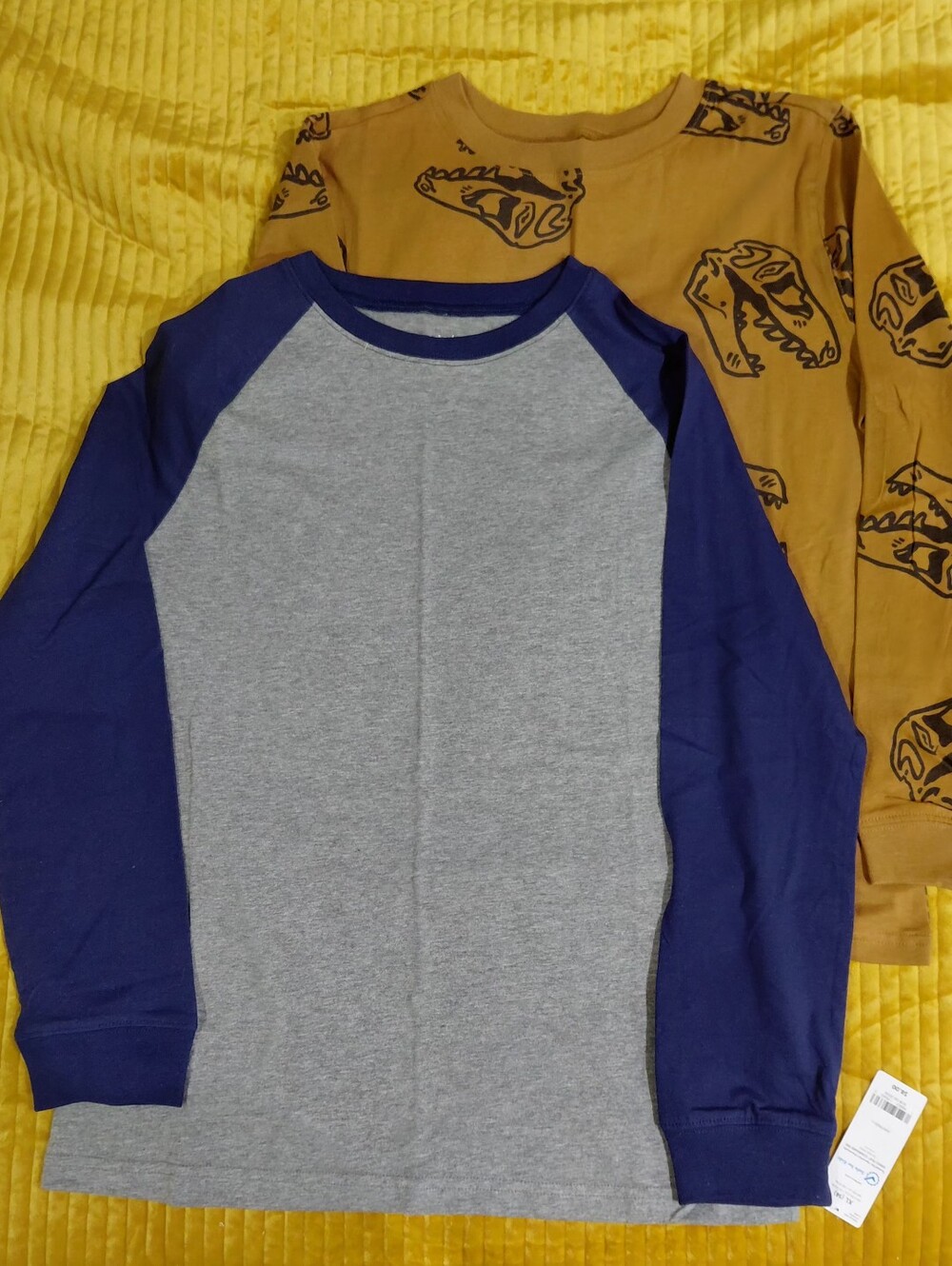 NWT Carters Set Of 2 Long Sleeve Shirts Size 14 Boys